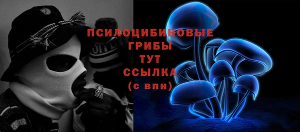 бошки Арсеньев