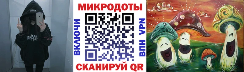 Псилоцибиновые грибы мицелий  Купить закладки  Ак-Довурак 